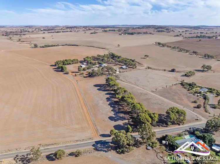 Main view of Homely rural property listing, 1282 Curio Highway, Buchanan SA 5374