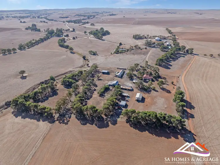 Third view of Homely rural property listing, 1282 Curio Highway, Buchanan SA 5374