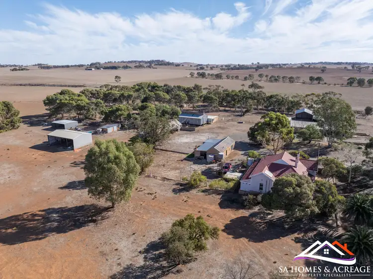 Fifth view of Homely rural property listing, 1282 Curio Highway, Buchanan SA 5374