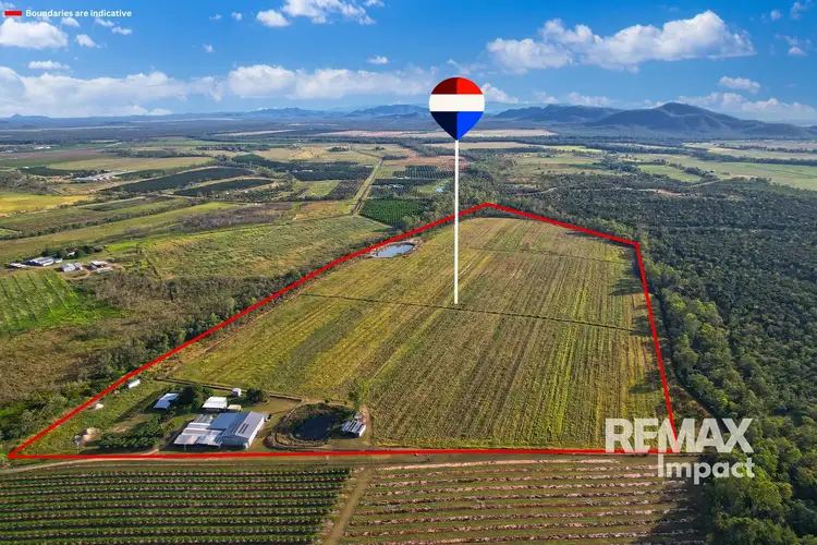 67 East Dawson Road, Mutchilba QLD 4872