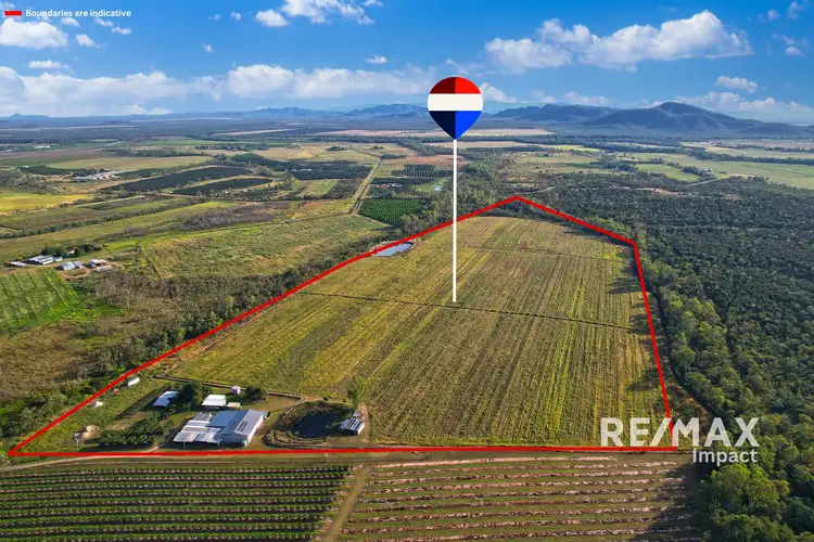 67 East Dawson Road, Mutchilba QLD 4872