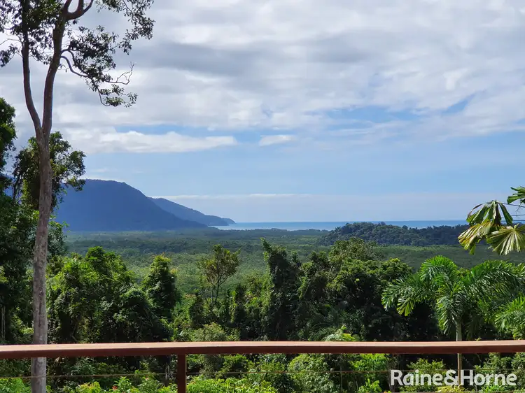106 Black Bean Road, Cow Bay, Daintree QLD 4873