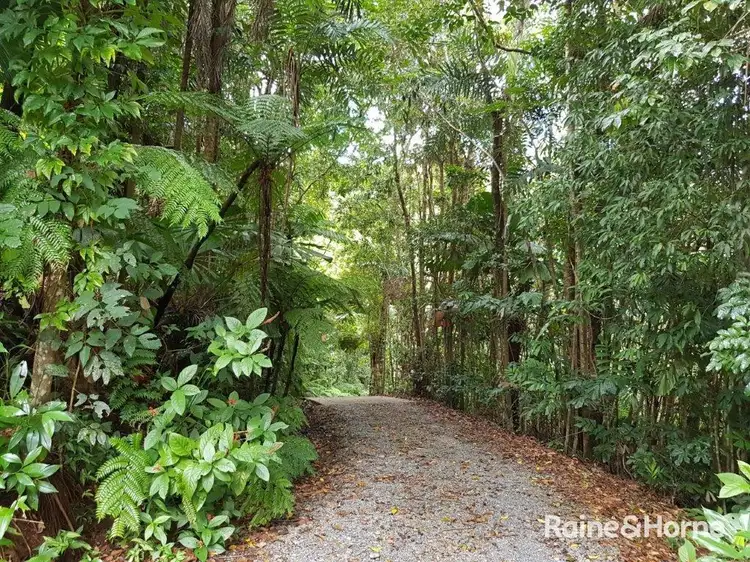 Second view of Homely house listing, 106 Black Bean Road, Cow Bay, Daintree QLD 4873