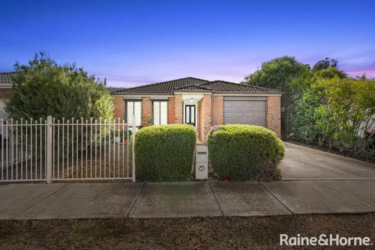 19 Dreelburn Terrace, Melton South VIC 3338