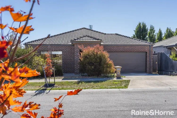 8 Manifold Road