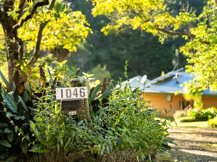 Fourth view of Homely rural property listing, 1046 South Arm Road, Bellingen NSW 2454