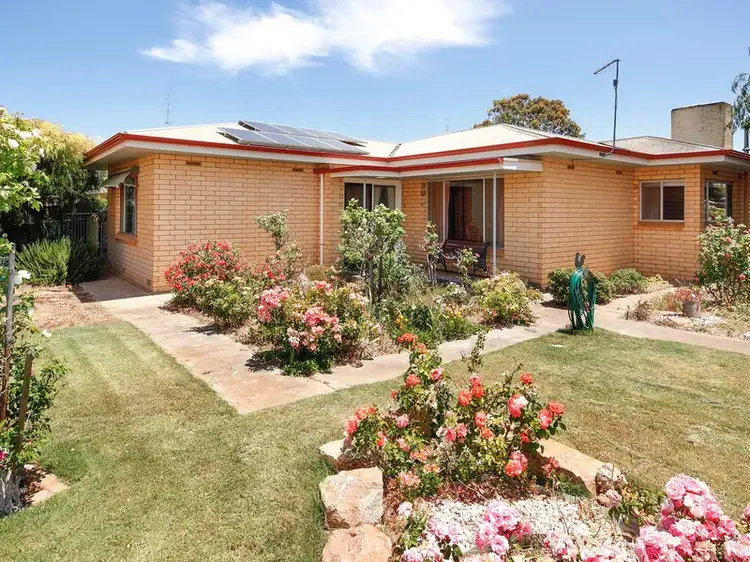 12 Traeger Street, Cleve SA 5640