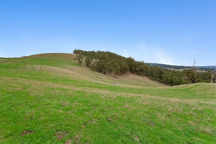 Third view of Homely rural property listing, Lot 2/244 Mirboo North - Trafalgar Road,, Trafalgar VIC 3824