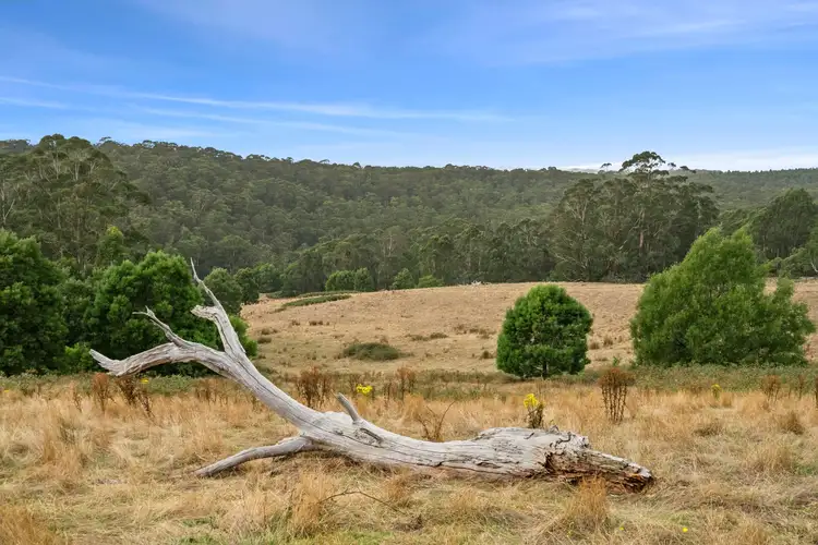 Second view of Homely rural property listing, 35 Roadknight Creek Road, Forrest VIC 3236