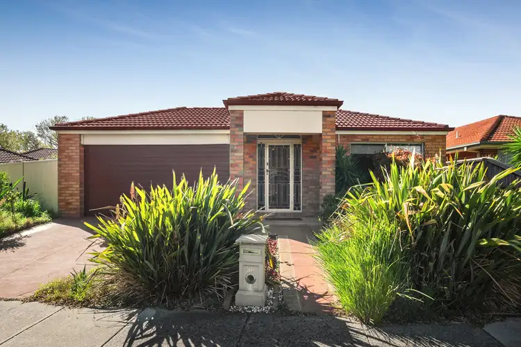 36 Marlesford Crescent, Berwick VIC 3806