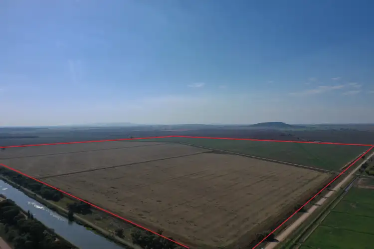 Second view of Homely rural property listing, 4 Round Hill Road, Leeton NSW 2705