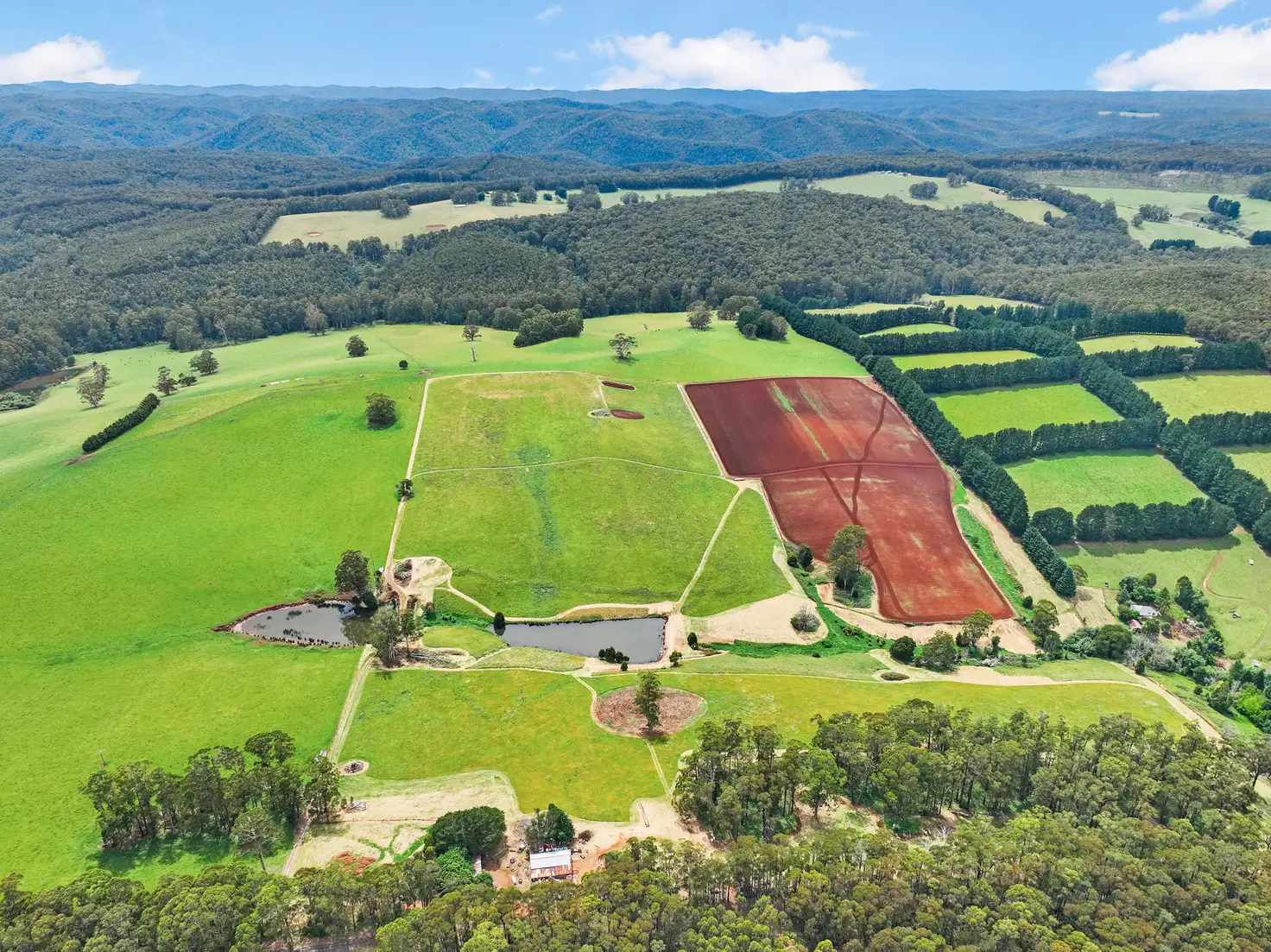 Main view of Homely rural property listing, Lot 1 Mathiesons Road, Erica VIC 3825