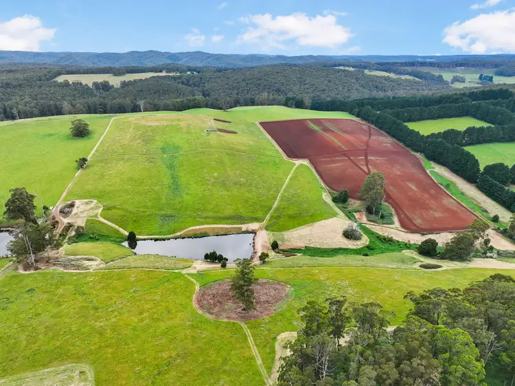 Sixth view of Homely rural property listing, Lot 1 Mathiesons Road, Erica VIC 3825