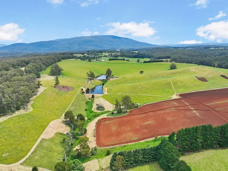 Seventh view of Homely rural property listing, Lot 1 Mathiesons Road, Erica VIC 3825