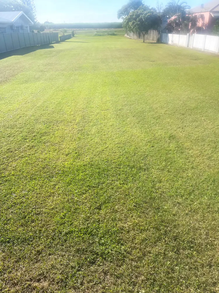 Fifth view of Homely land listing, 175 Burstall Road, Airdmillan QLD 4807