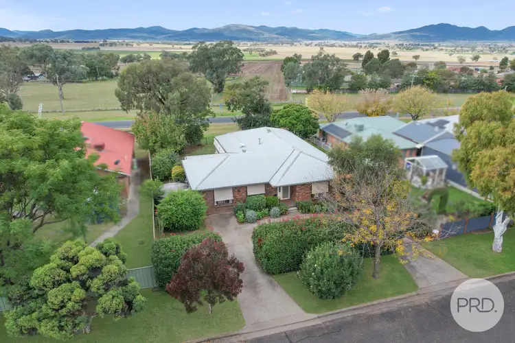 Second view of Homely house listing, 95 Nowland Avenue, Quirindi NSW 2343