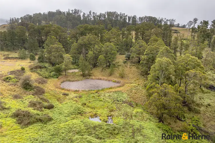 Second view of Homely rural property listing, 4833 Brackendale Road, Nowendoc NSW 2354