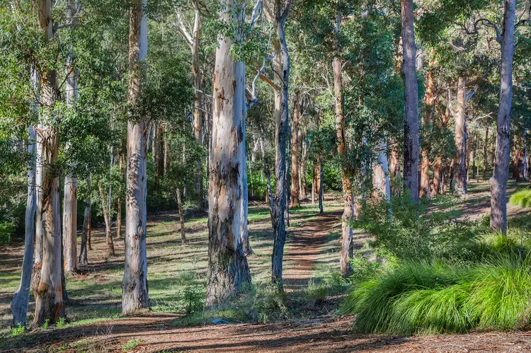 Seventh view of Homely house listing, 8 Higgins Street, Margaret River WA 6285