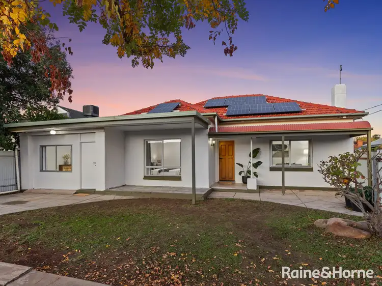 43 Gray Street, Plympton SA 5038