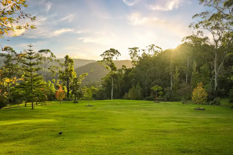85 Walter Court, Wongawallan QLD 4210
