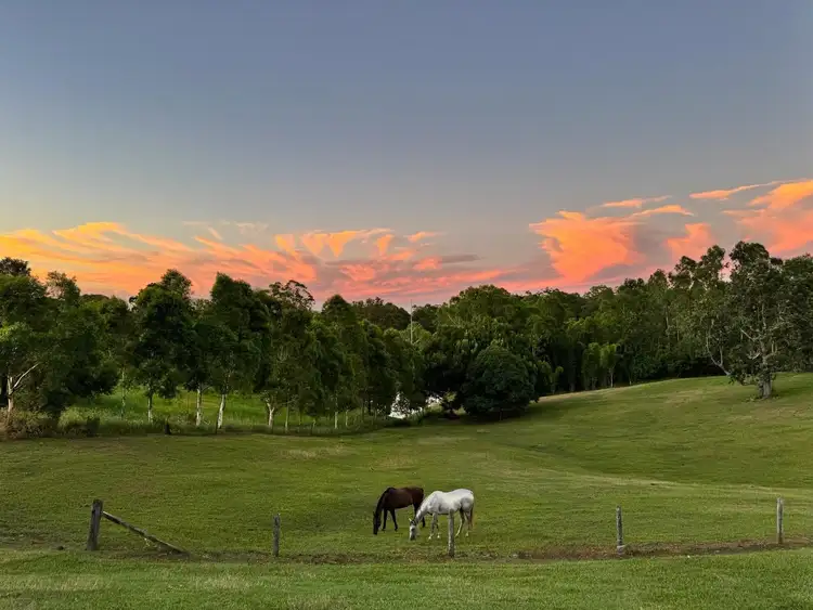 Fourth view of Homely house listing, 24 Valley Vista Road, The Dawn QLD 4570