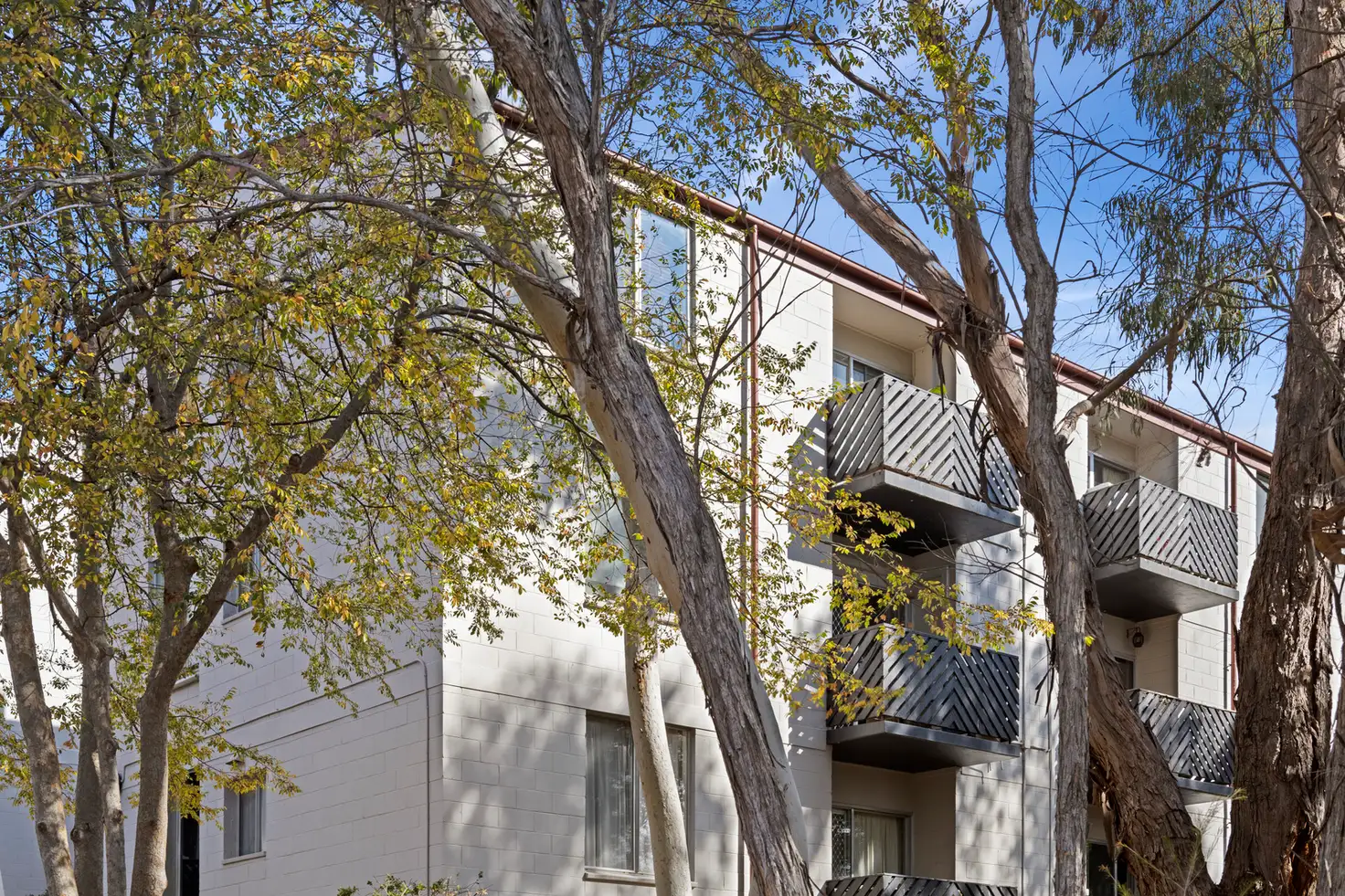 Main view of Homely apartment listing, 3/78 Hodgson Crescent, Pearce ACT 2607