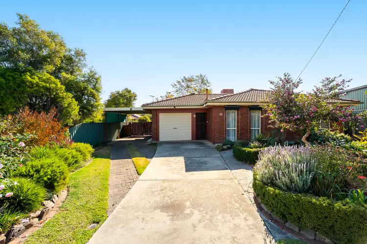 16 Donelly Avenue, West Wodonga VIC 3690