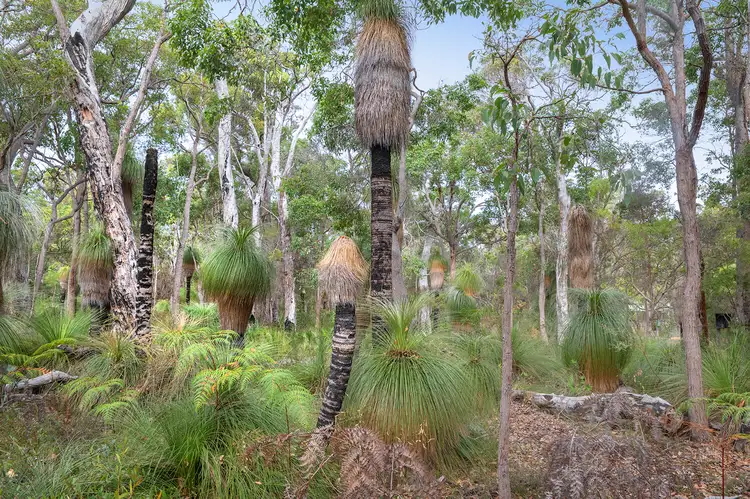 Sixth view of Homely land listing, 62 Sabina Drive, Molloy Island WA 6290