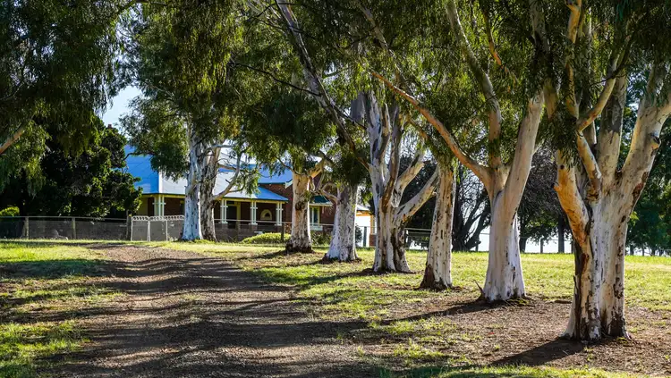 Second view of Homely rural property listing, 1549 The Escort Way, Orange NSW 2800