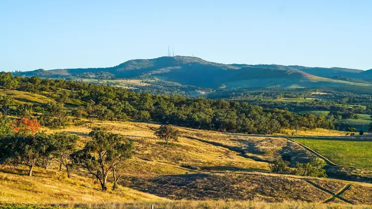 Fourth view of Homely rural property listing, 1549 The Escort Way, Orange NSW 2800