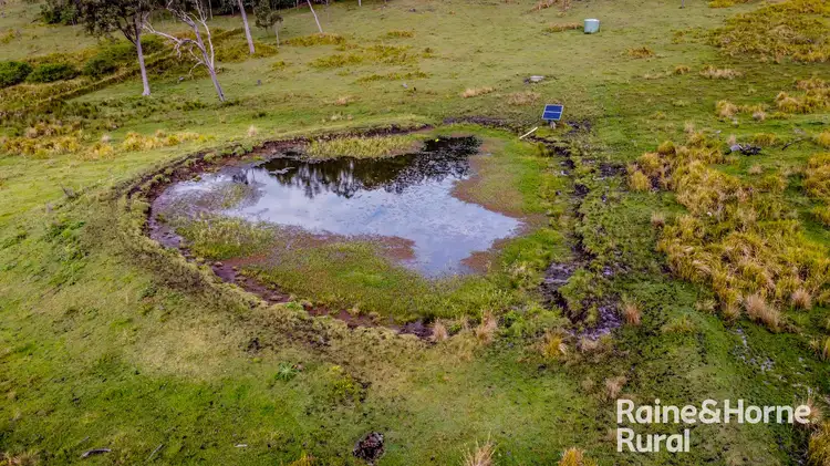 Seventh view of Homely rural property listing, 5244 Bruxner Highway, Mummulgum NSW 2469
