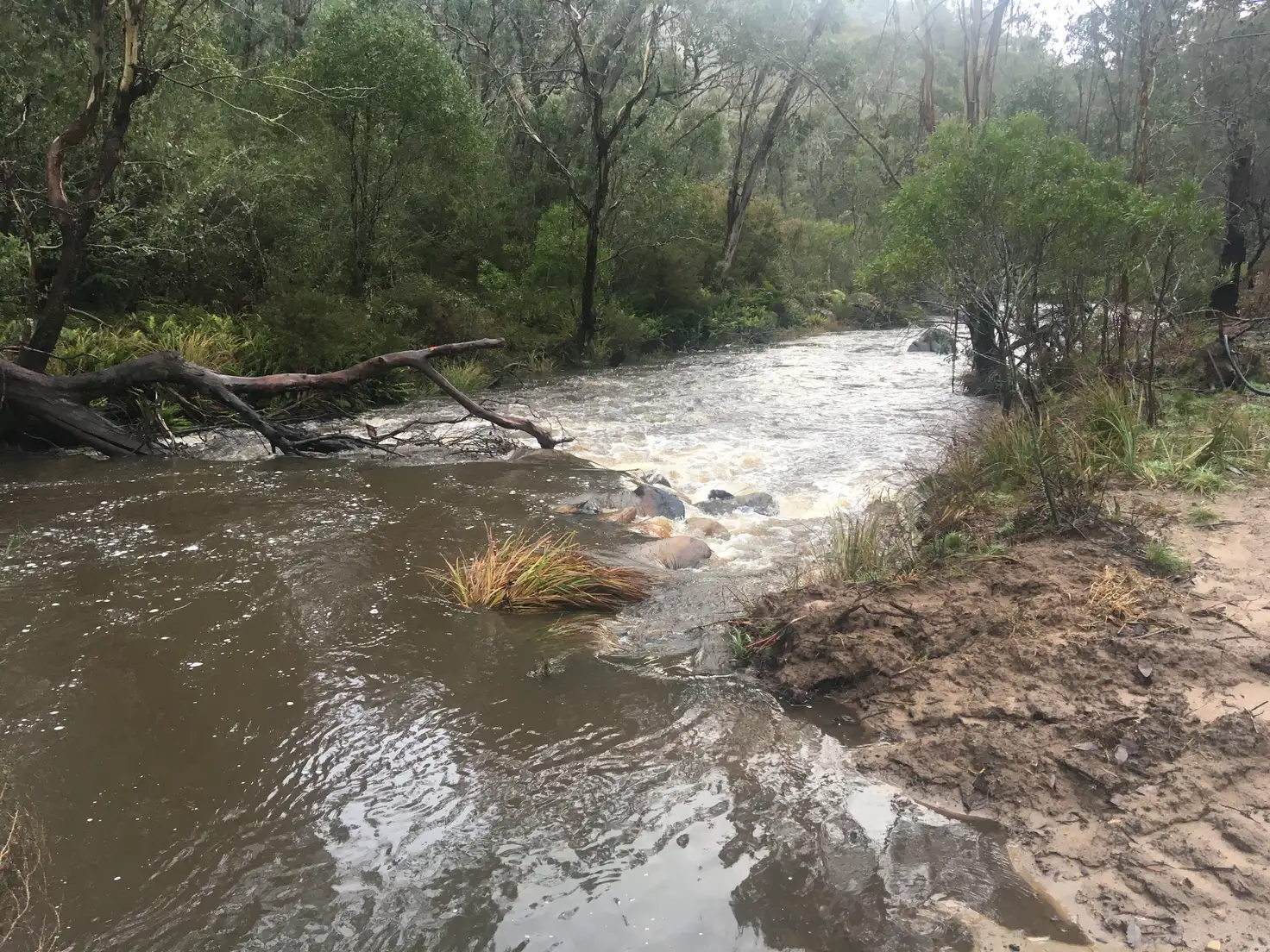Main view of Homely rural property listing, 1094 Nottingham Road, Wee Jasper NSW 2582