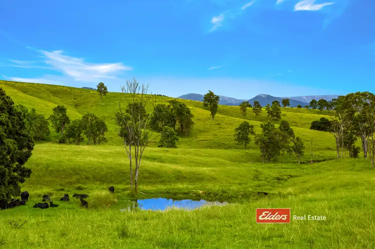 Main view of Homely rural property listing, 2121 Salisbury Road, Salisbury via, Dungog NSW 2420