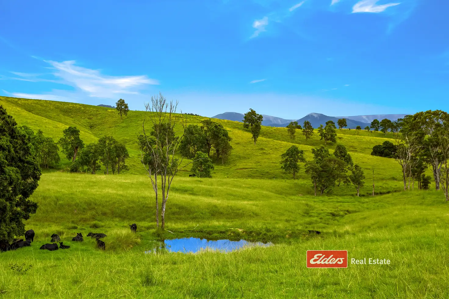 Main view of Homely rural property listing, 2121 Salisbury Road, Salisbury via, Dungog NSW 2420