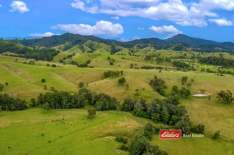 Fifth view of Homely rural property listing, 2121 Salisbury Road, Salisbury via, Dungog NSW 2420