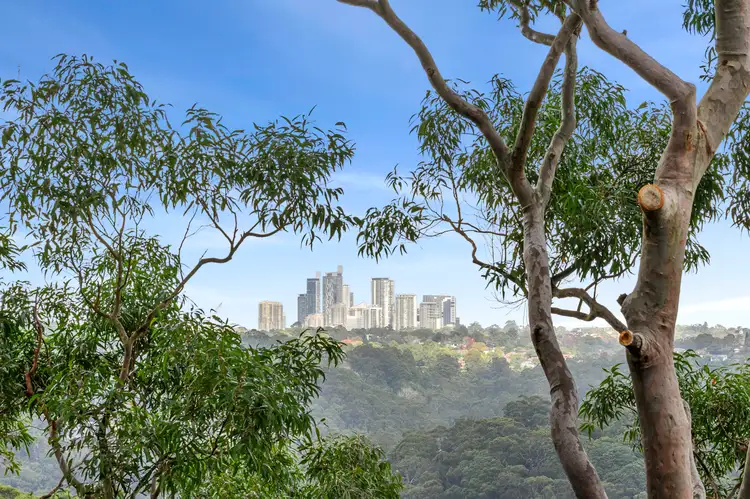 17 Lolita Avenue, Forestville NSW 2087