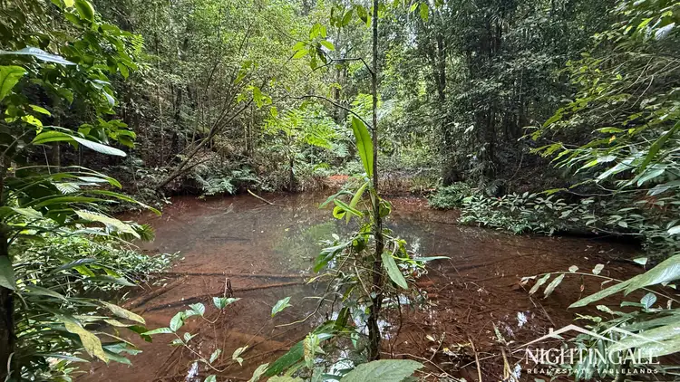 Third view of Homely rural property listing, Lot 1 Westcott Road, Topaz QLD 4885