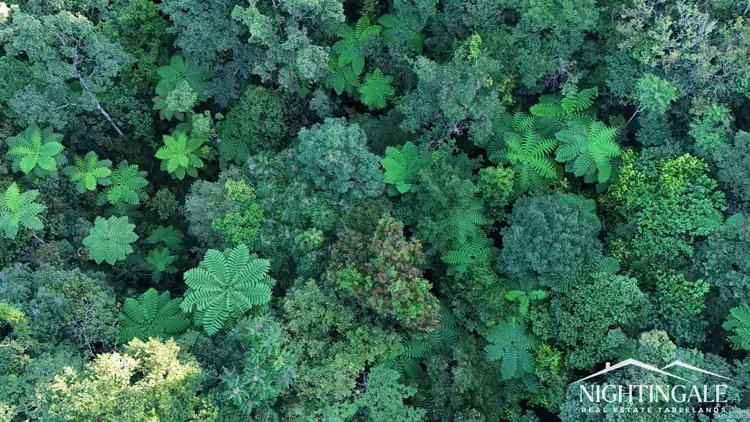 Fourth view of Homely rural property listing, Lot 1 Westcott Road, Topaz QLD 4885