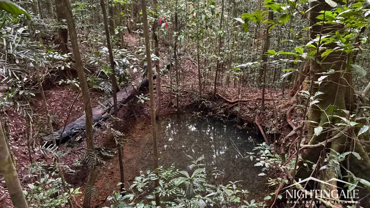 Seventh view of Homely rural property listing, Lot 1 Westcott Road, Topaz QLD 4885