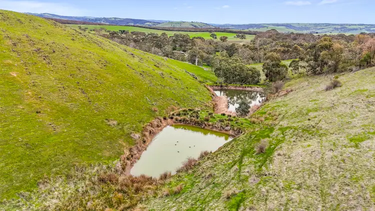 Third view of Homely rural property listing, Lot 103 Wattle Flat Road, Ashbourne SA 5157