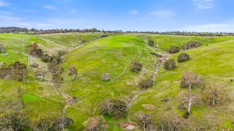 Seventh view of Homely rural property listing, Lot 103 Wattle Flat Road, Ashbourne SA 5157