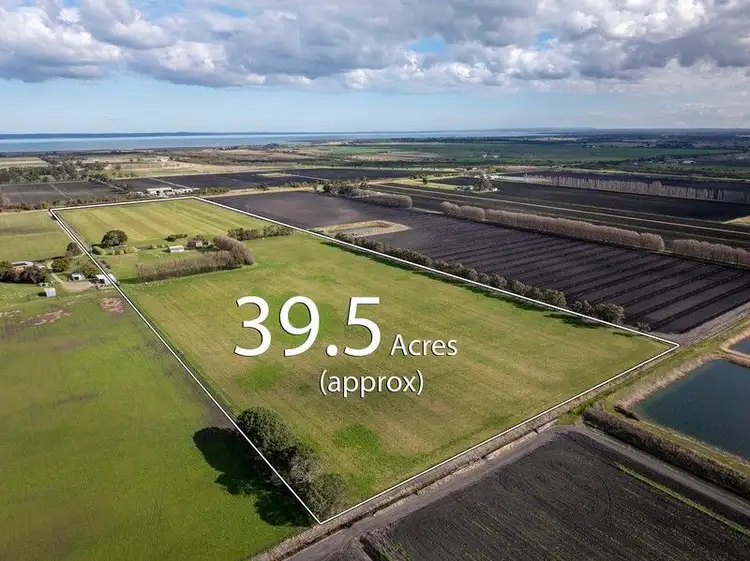 Third view of Homely rural property listing, 295 Railway Road, Koo Wee Rup VIC 3981