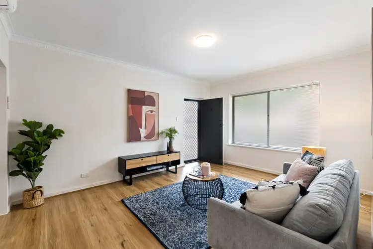 Main view of Homely unit listing, 6/177 Jeffcott Street, North Adelaide SA 5006