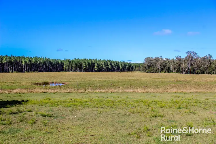 Third view of Homely rural property listing, 315 Myrtle Creek Road, Myrtle Creek NSW 2469