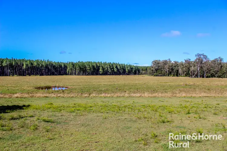 Fourth view of Homely rural property listing, 315 Myrtle Creek Road, Myrtle Creek NSW 2469