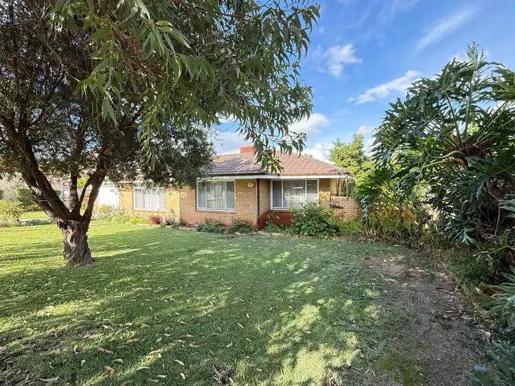Second view of Homely house listing, 3 Minilya Street, Innaloo WA 6018
