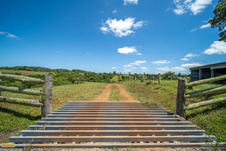 Lot 10 Camp Creek Road, Camp Creek QLD 4871