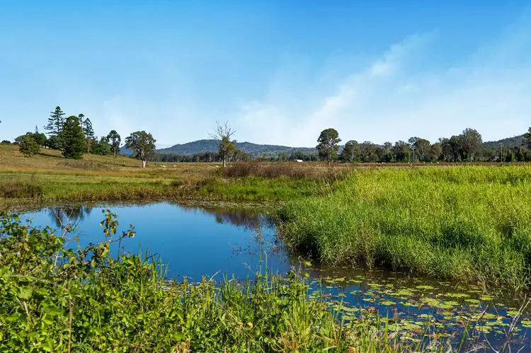 Fourth view of Homely rural property listing, 269 Nindooinbah Estate Road, Nindooinbah QLD 4285