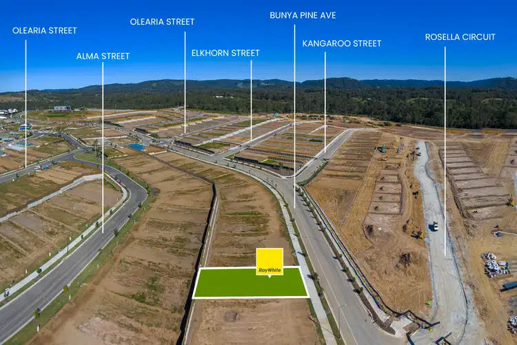 Sixth view of Homely land listing, 74 Bunya Pine Avenue, Morayfield QLD 4506
