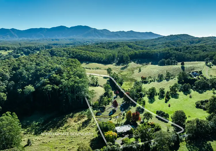 Third view of Homely rural property listing, 39 Reids Road, Bellingen NSW 2454